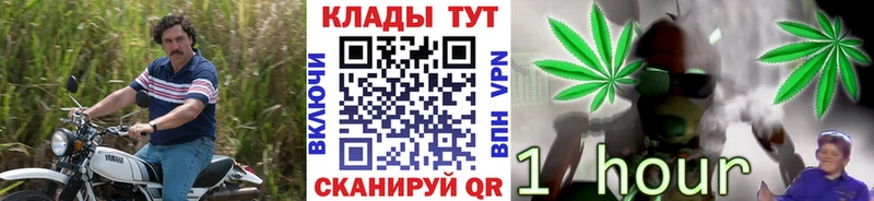 Купить закладку Южа COCAIN  Alpha-PVP  Марихуана  Галлюциногенные грибы  ГАШ 