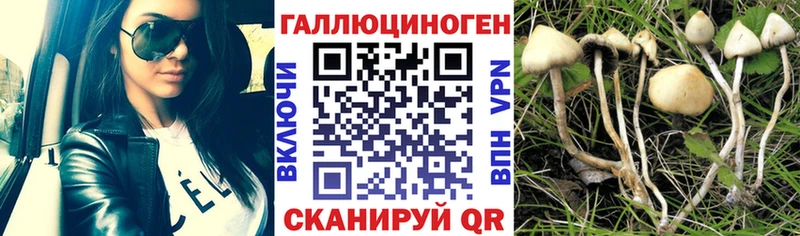 Галлюциногенные грибы MAGIC MUSHROOMS  ОМГ ОМГ маркетплейс  Южа 